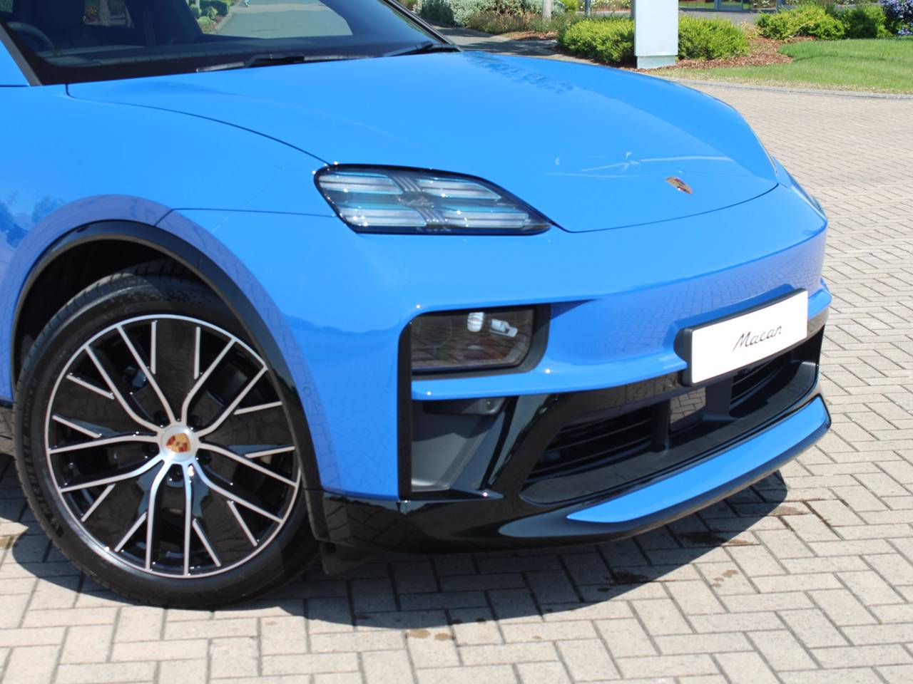 Macan (36) image 12