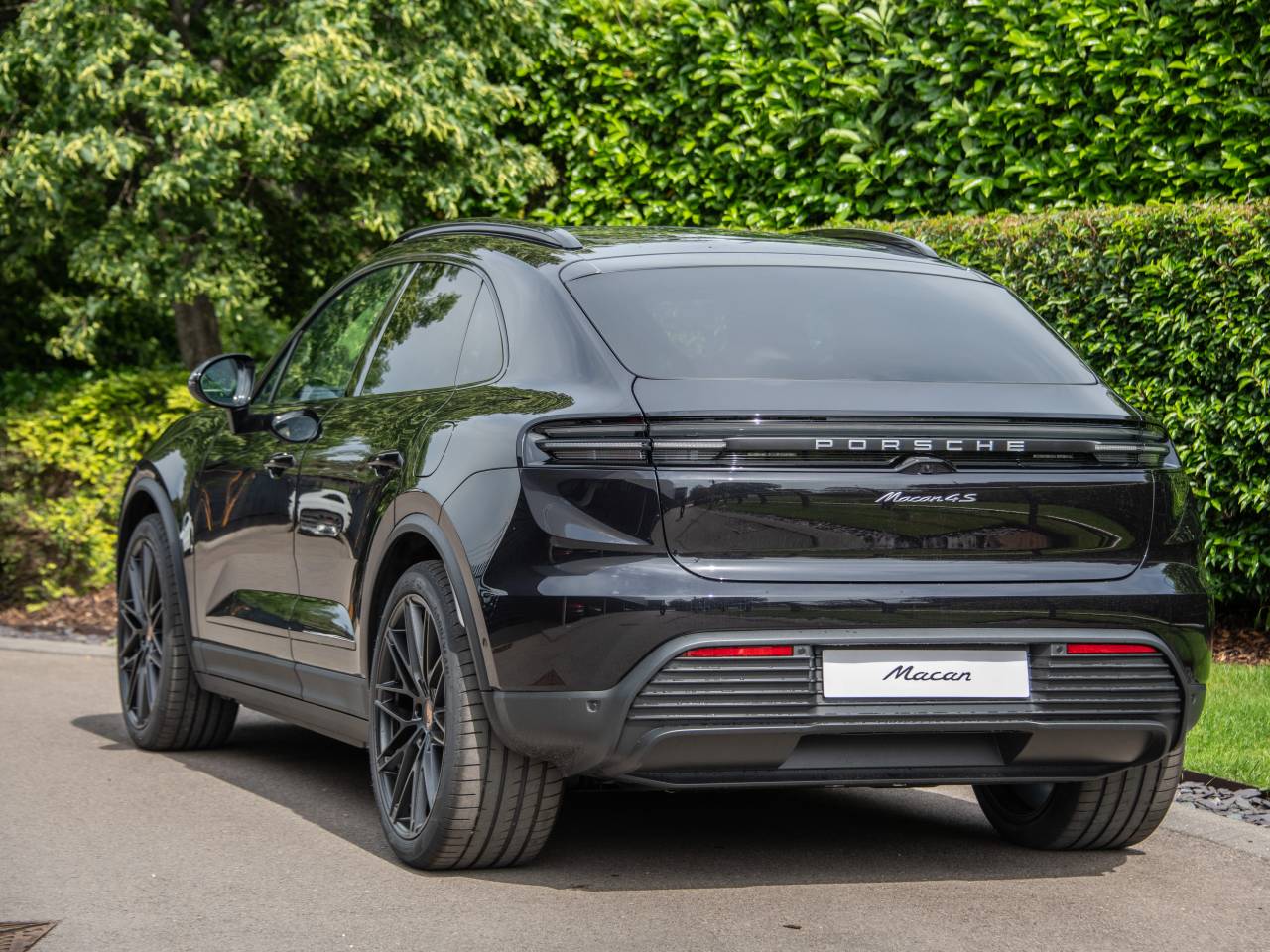 Macan (62) image 25