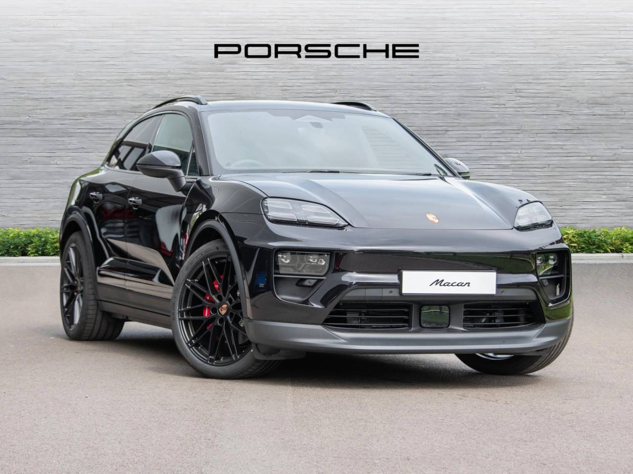 Macan 
