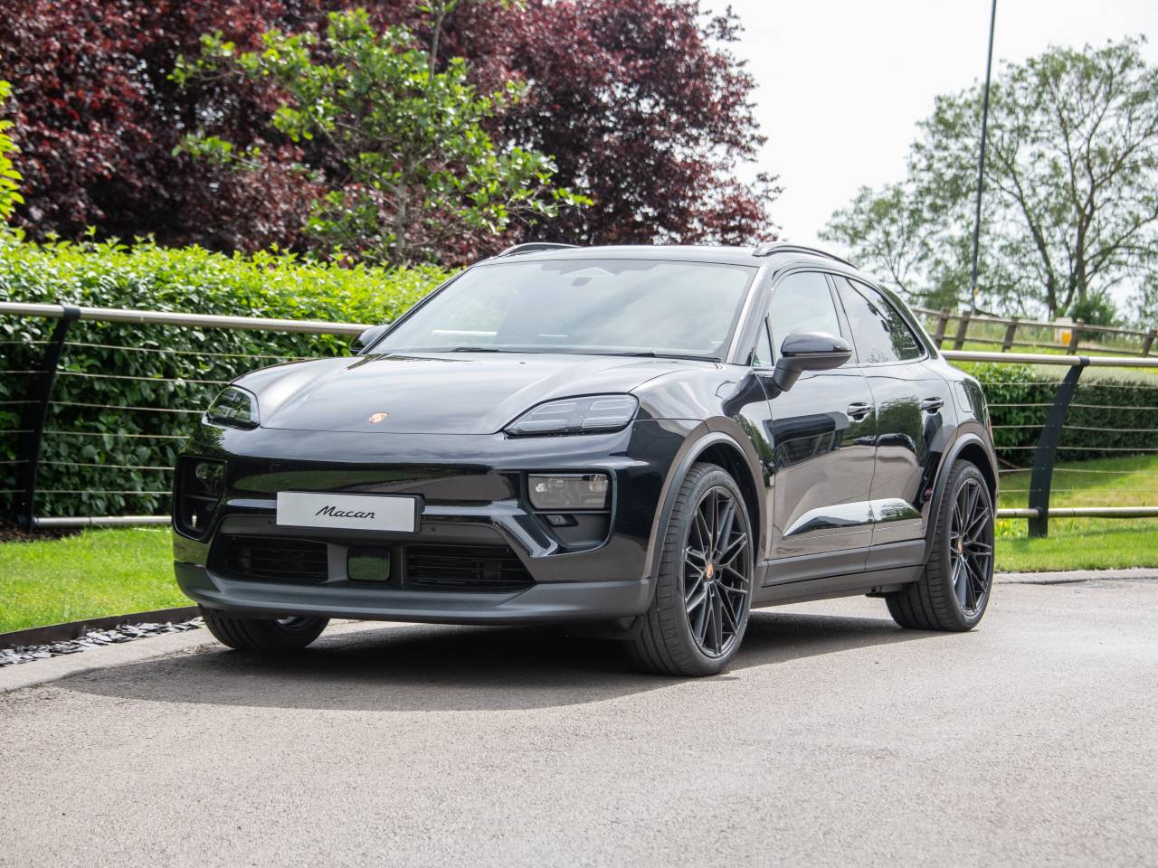 Macan (62) image 10