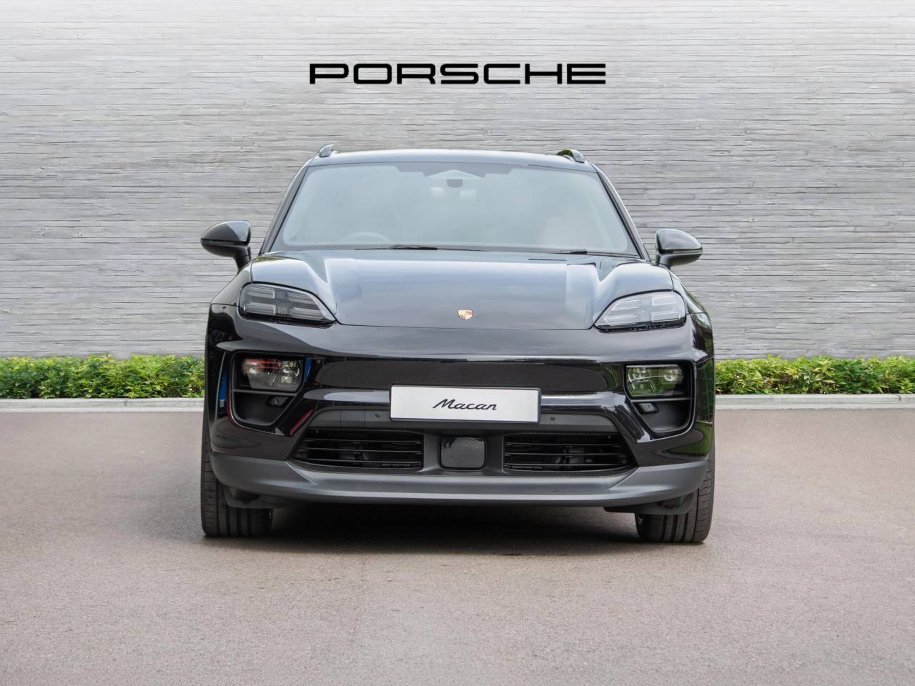 Macan (62) image 06