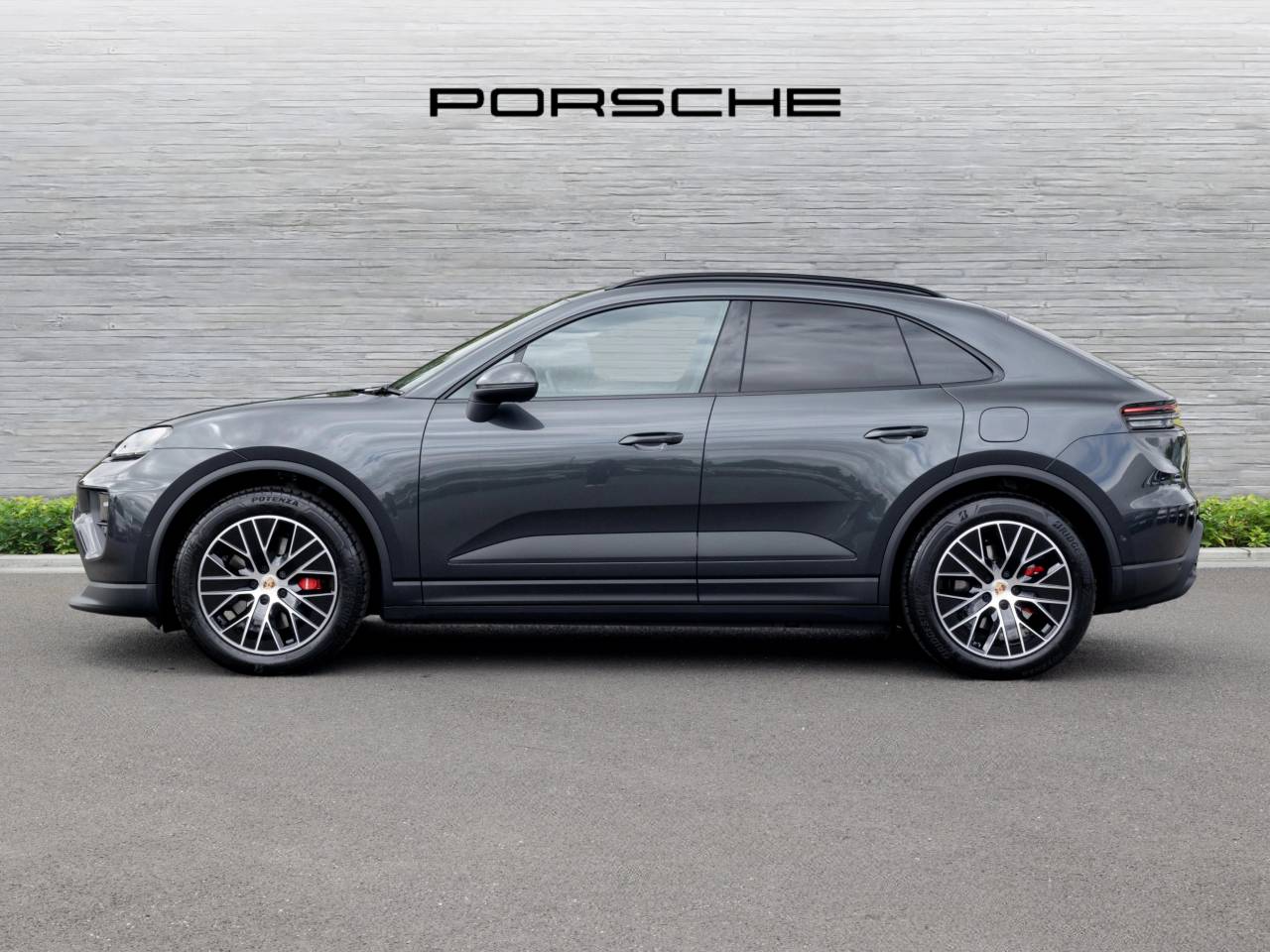Macan (84) image 12