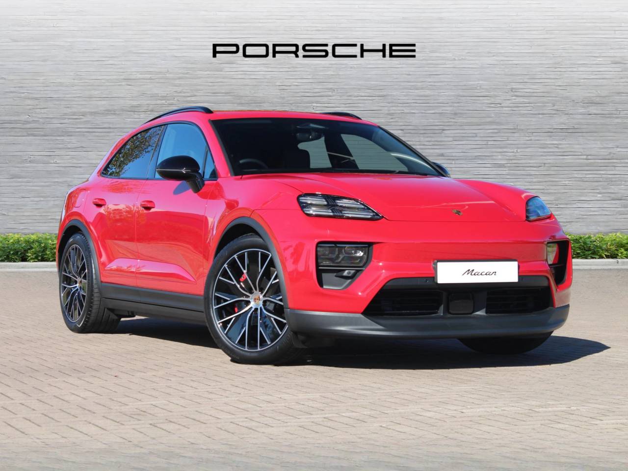 Macan 
