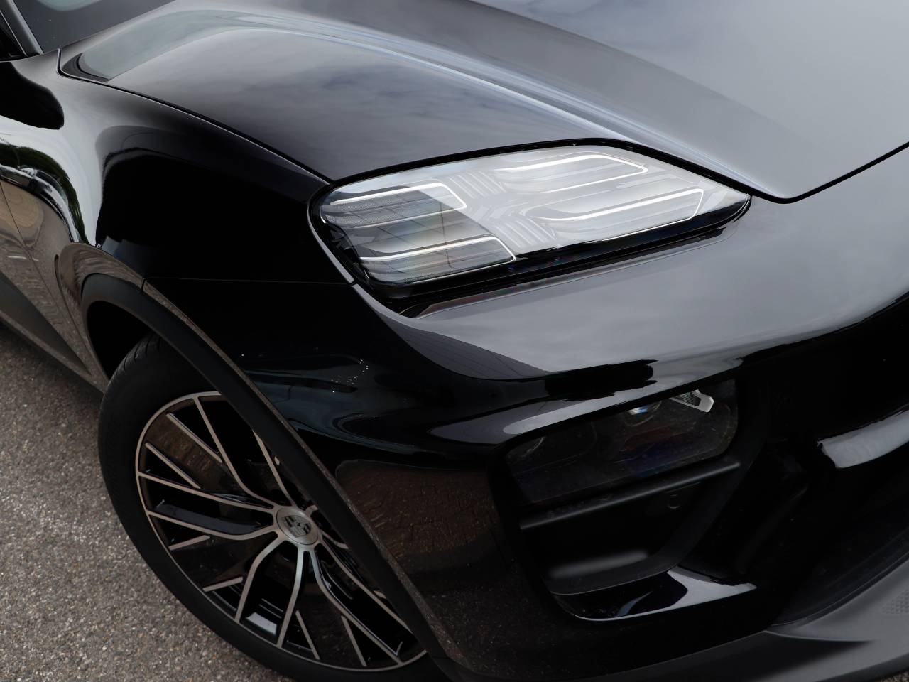 Macan (72) image 32