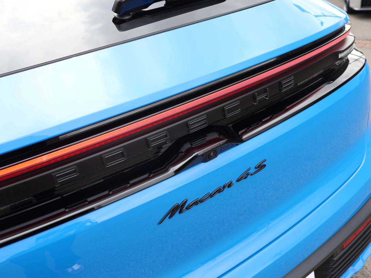Macan (77) image 10