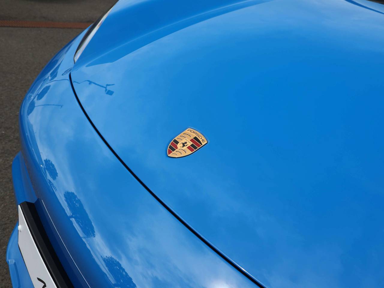 Macan (77) image 11