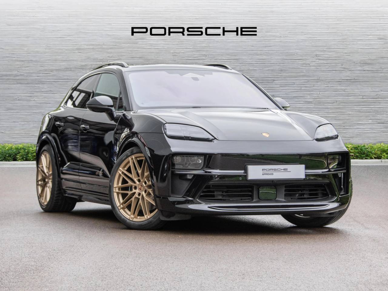 Macan 