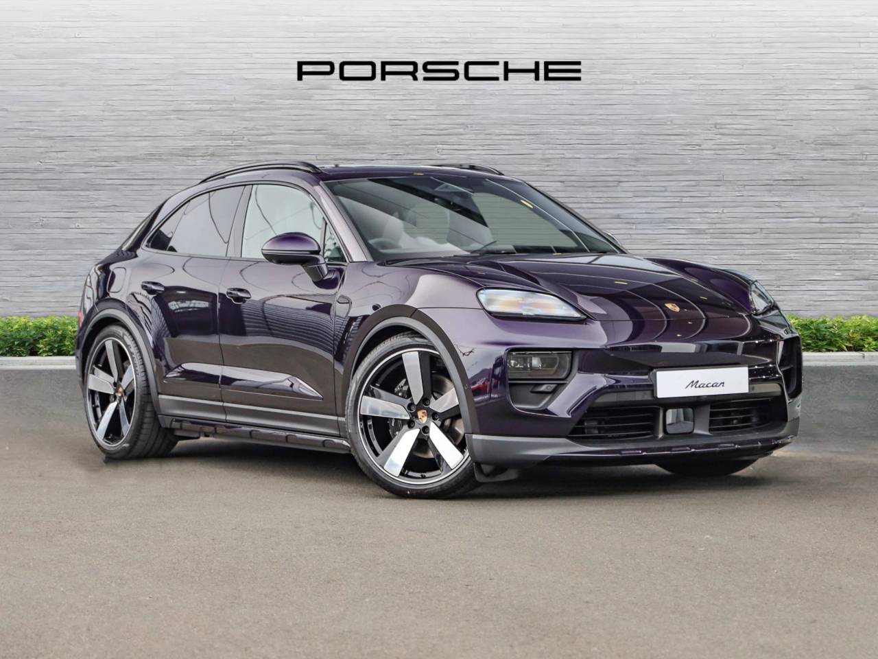 Macan 