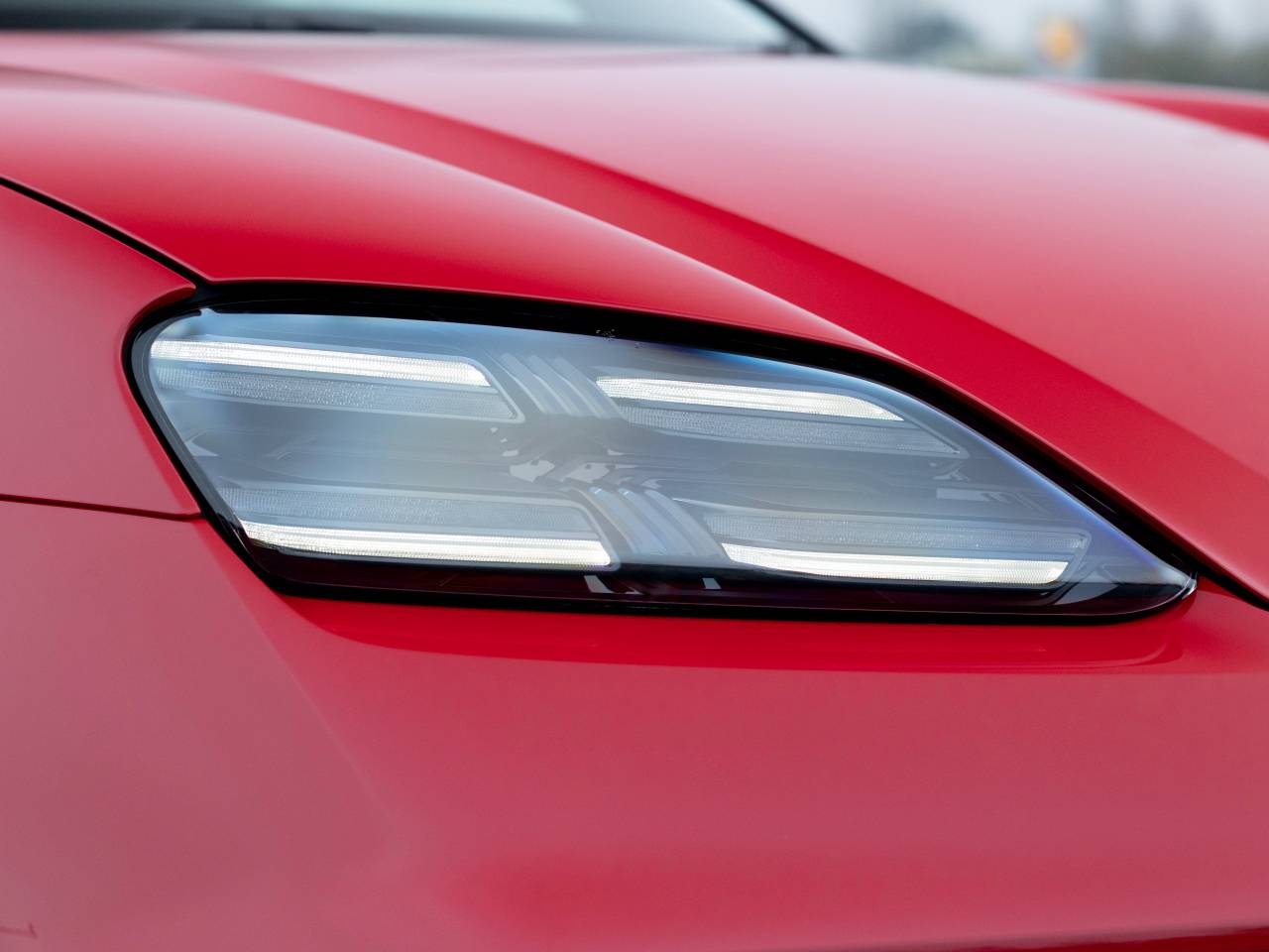 Macan (65) image 32 (1)