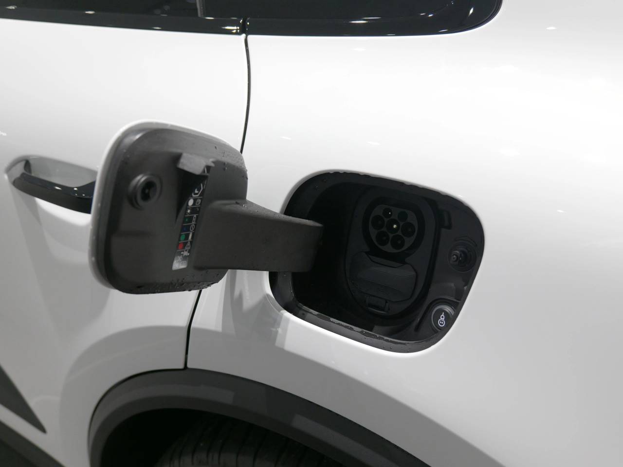 Macan BASE (5) image 15