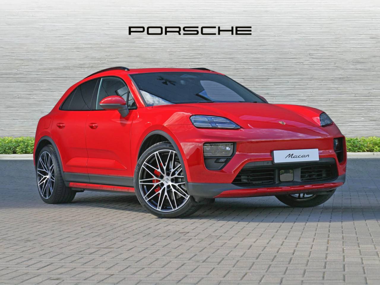 Macan 