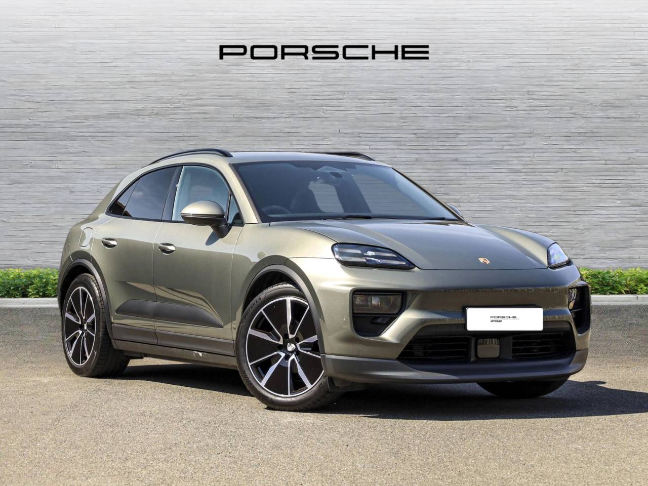 Macan 