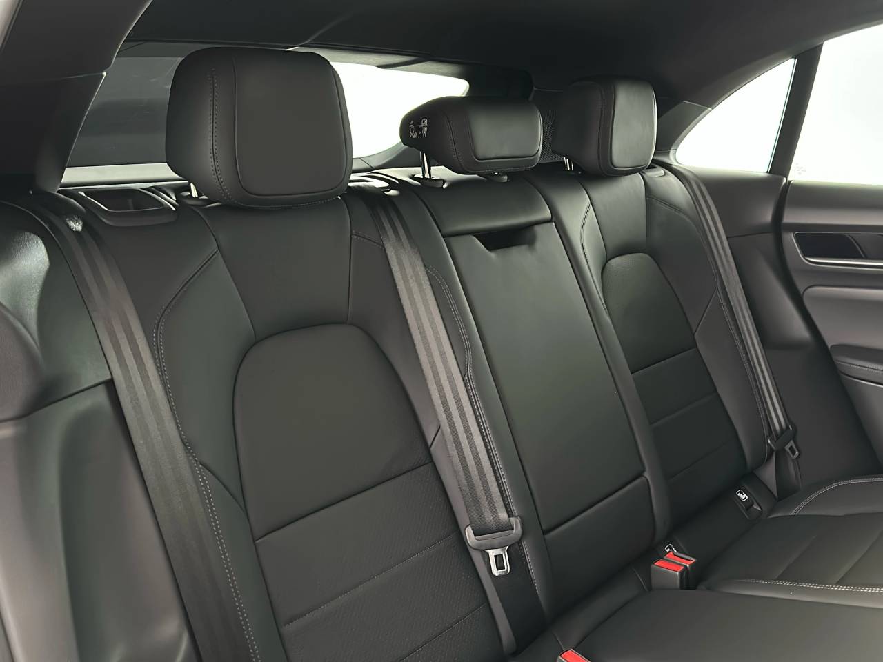 Macan (53) image 18