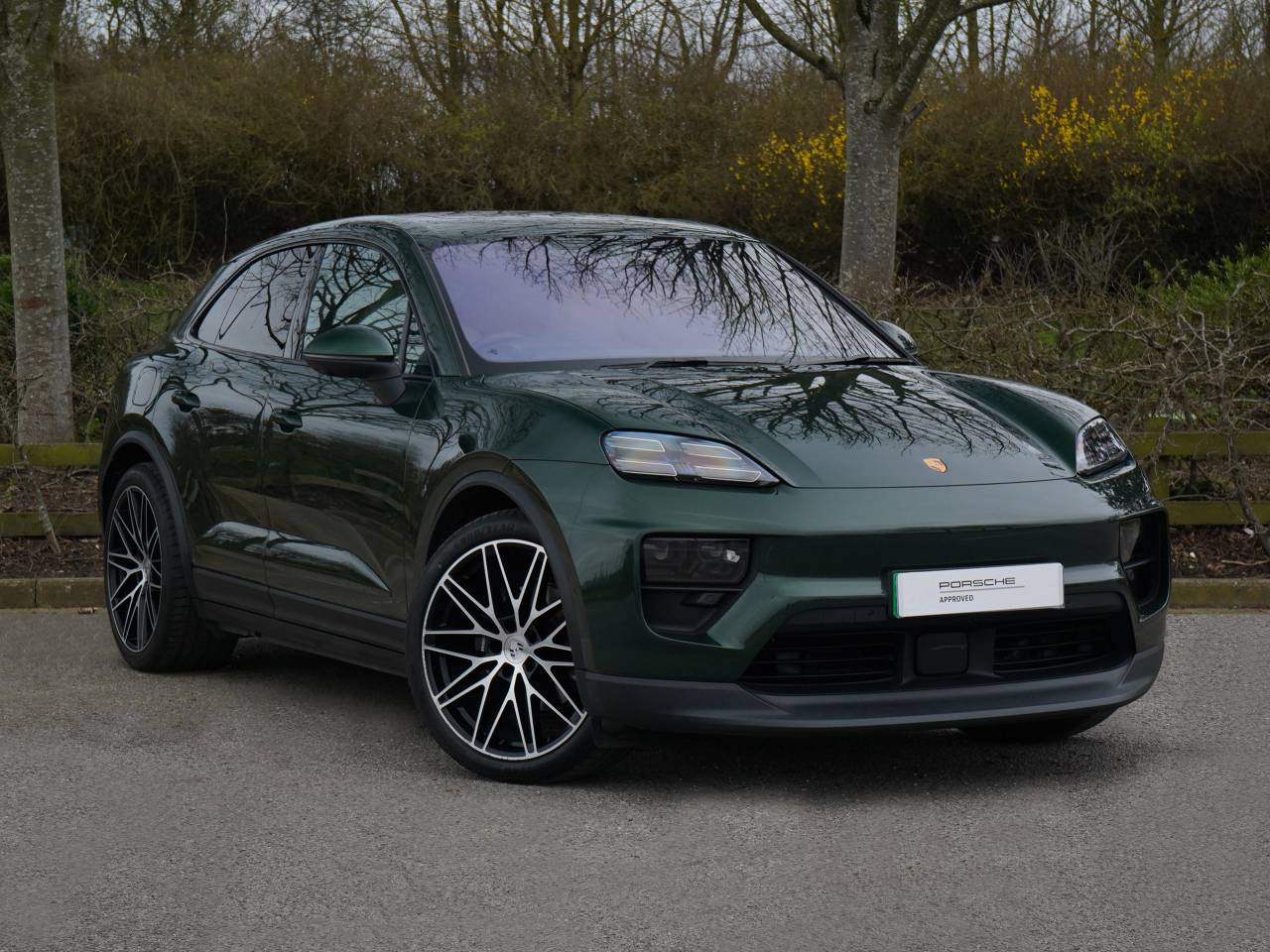 Macan 4