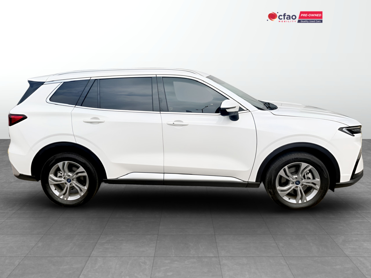 Ford TERRITORY 1.8T TREND