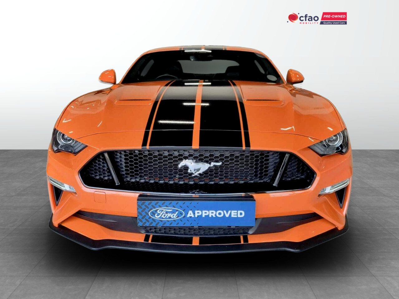 Ford MUSTANG 5.0 GT FASTBACK