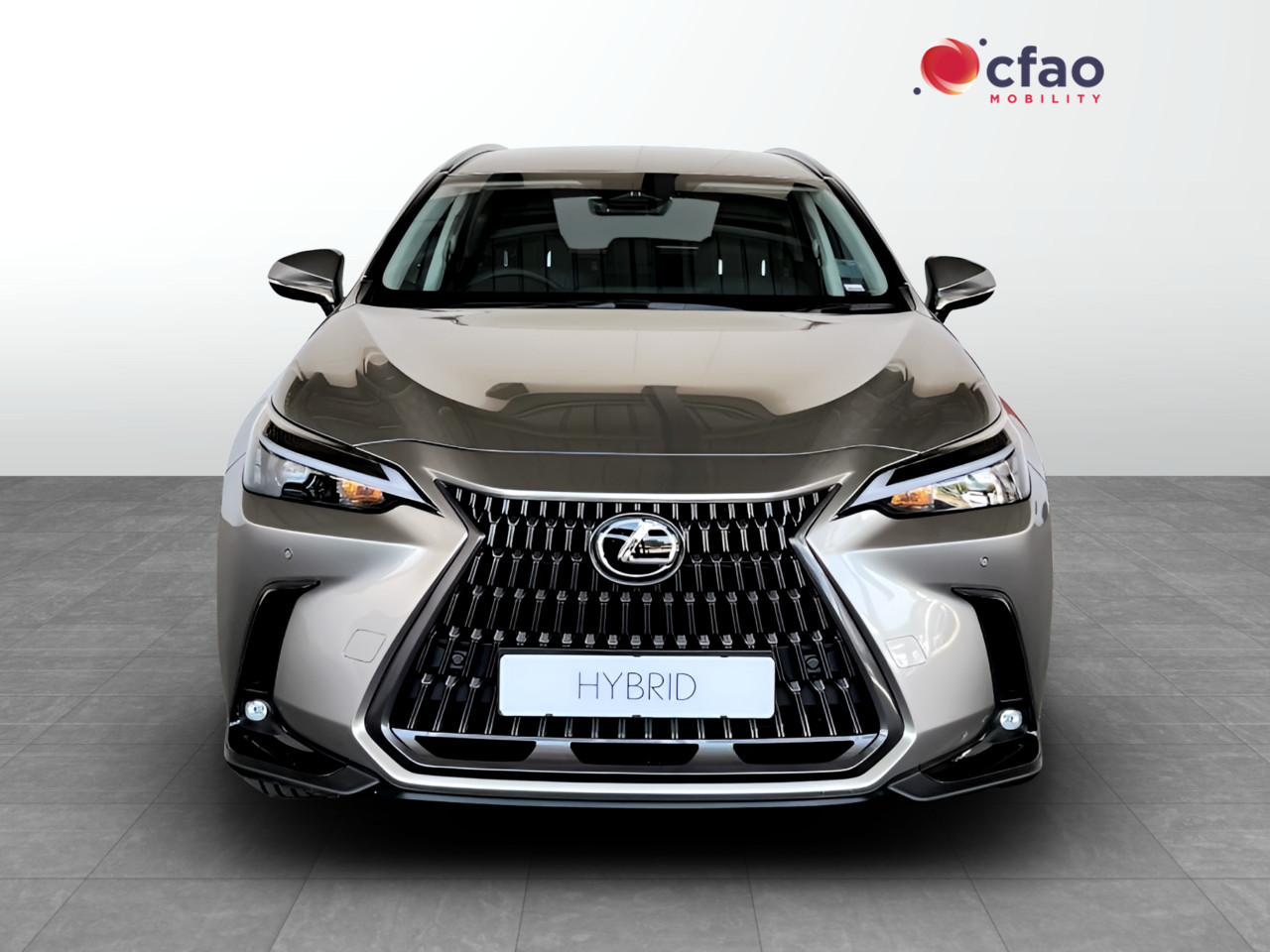 Lexus NX 350H EX
