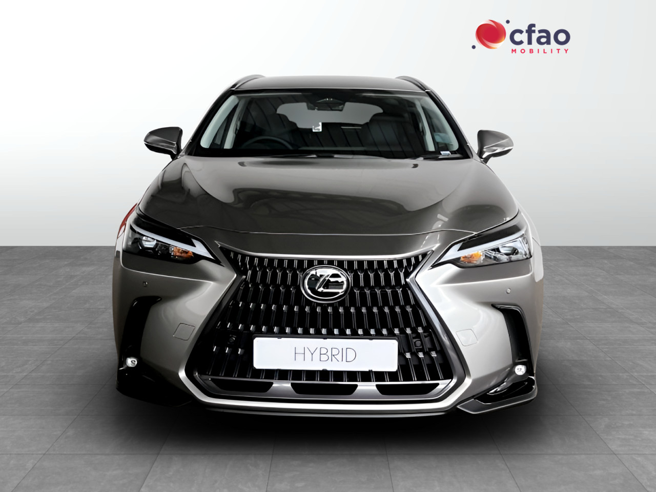 Lexus NX 350h EX