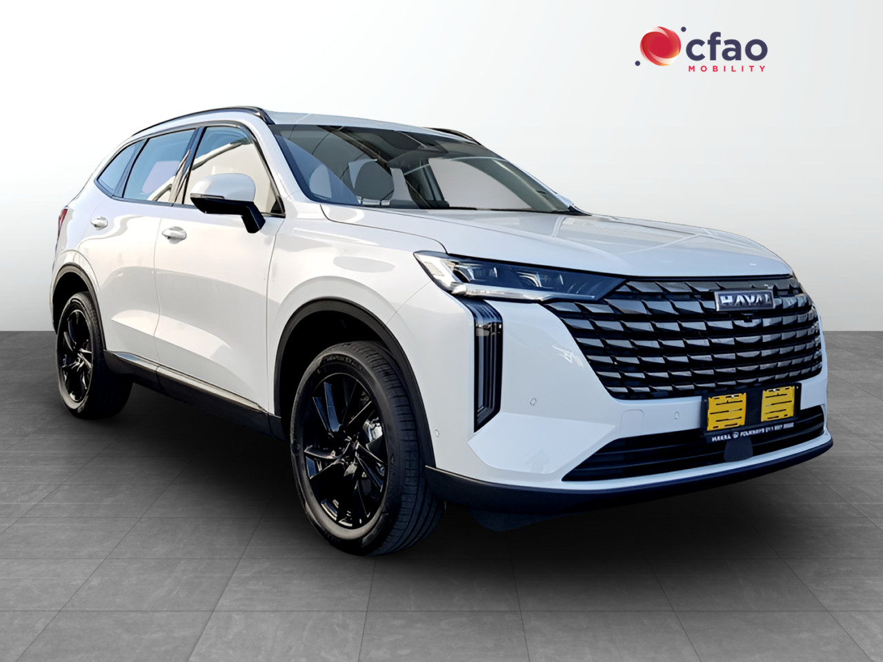 Haval H6 2.0T Luxury 4WD