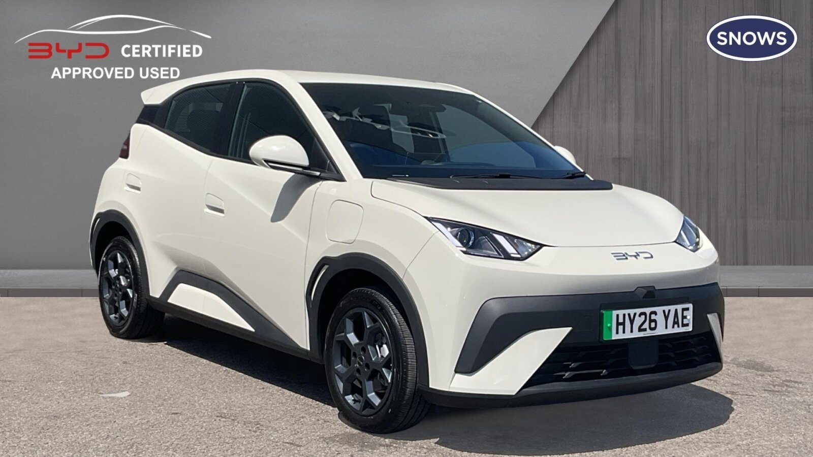 BYD Dolphin Surf listing photo