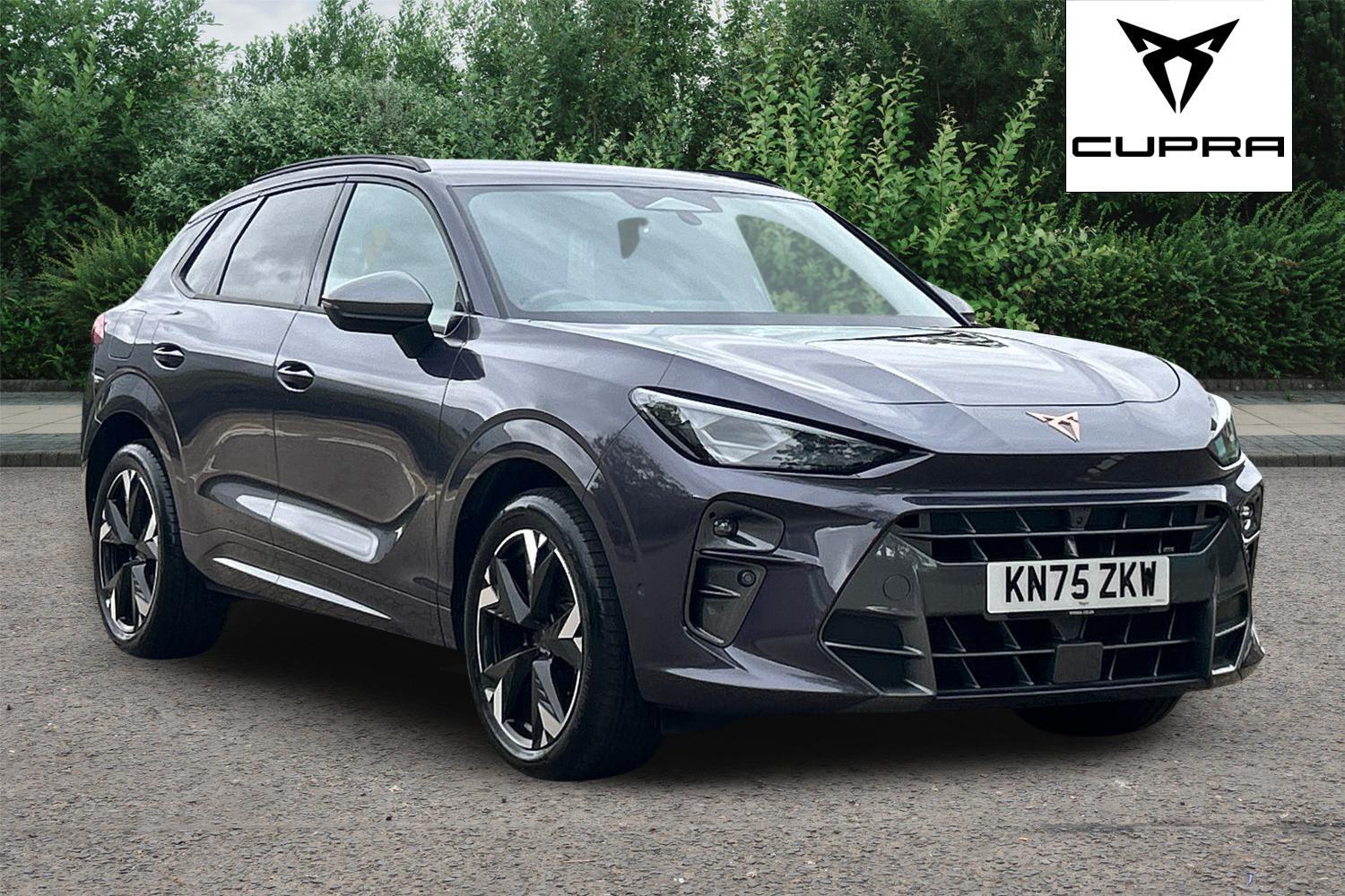 Cupra Terramar dealer public-web source image