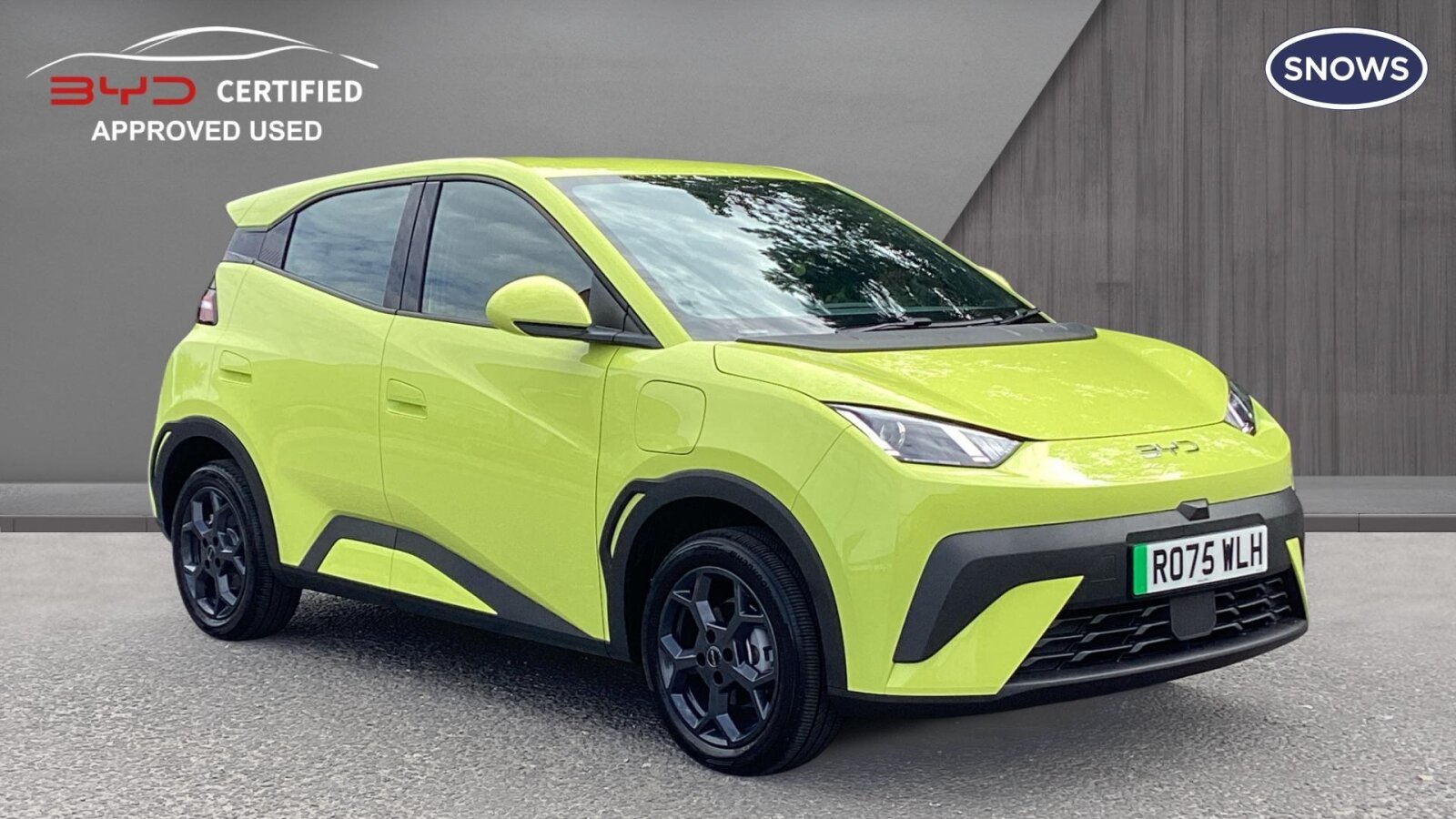 BYD Dolphin Surf listing photo