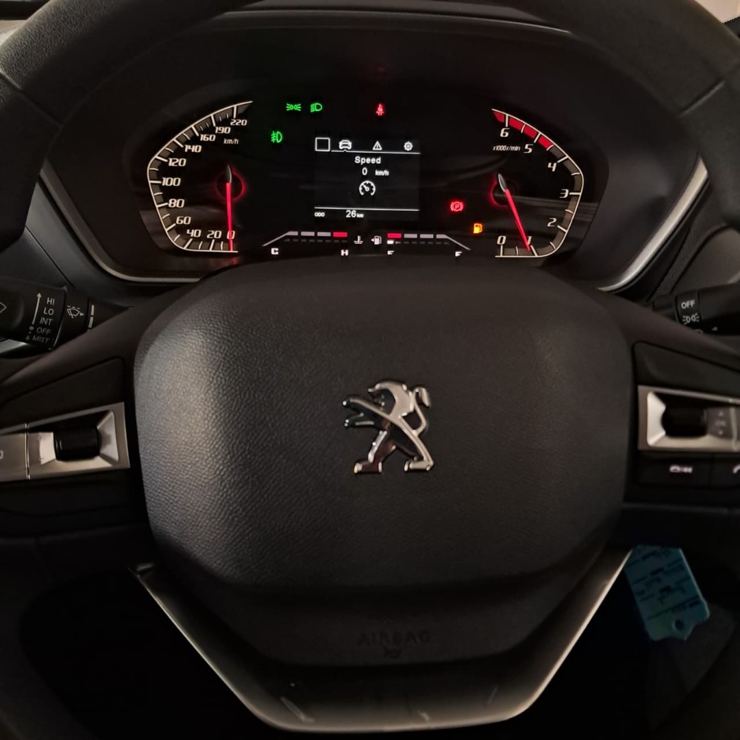 2026 Peugeot LANDTREK LANDTREK D-CAB 1.9D ACTIVE 4X4 MT image 12
