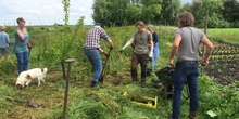 Cursus_permacultuur_normal