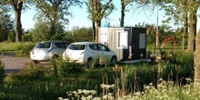 Deelauto's_baard_normal