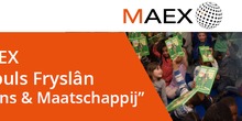 Maex_normal