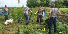Cursus_permacultuur_klein_normal
