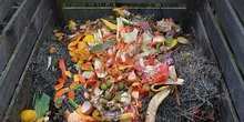 Green-waste-gfe7a4f6be_640_normal