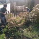 Imag0978_small