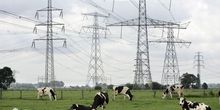 Energiekubaard_u.a._normal