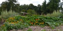 Vindertuin_weelde_aug_2014_normal