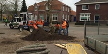 Img_2801_normal