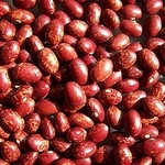 Reade-krobbe1_medium