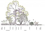 Voedselbos_medium