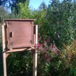 Bijenobservatiekast_medium