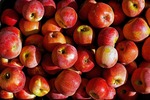 Apple-2814684_960_720_vinti_medium