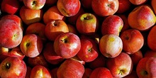 Apple-2814684_960_720_vinti_normal