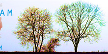 Header-kleurig-klaar_normal