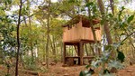 Het-belevenisbos-in-kerkenveld-foto-rtv-drenthe_medium