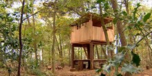 Het-belevenisbos-in-kerkenveld-foto-rtv-drenthe_normal