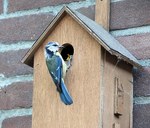 Heeten_nestkastjes_medium