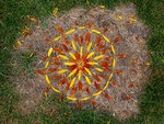 Vilsteren_kunst_in_de_natuur_medium