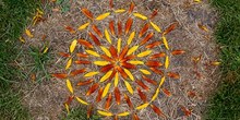 Vilsteren_kunst_in_de_natuur_normal