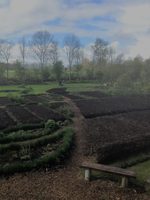 Hurdegaryp_april2017_medium