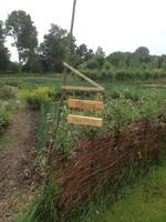 Aanwijsbordjes-dorpstuin_medium