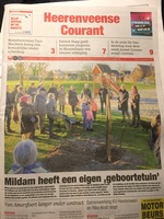 Hc_geboortebomen_medium